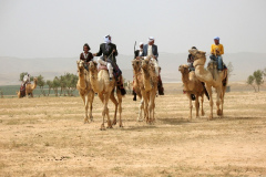 Bedouin