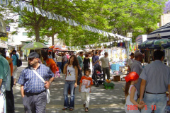 Beer Sheva – Capital of the Negev