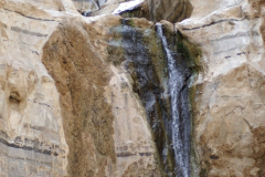 Negev - More