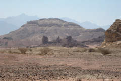 Negev Tour