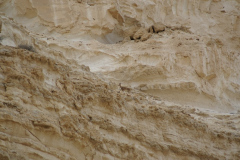 NegevNegev