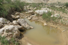 Sitting At Yeshua's Feet