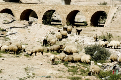 Turkish RR Bridge