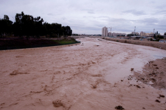 Wadi Flood 3