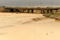 Wadi Flood 9