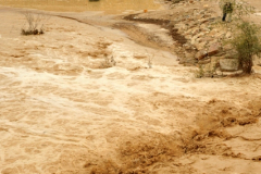 Wadi Flood 12