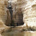 Pools in Negev10