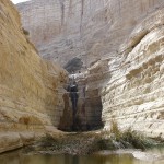 Pools in Negev1