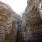 Pools in Negev3