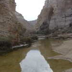 Pools in Negev5