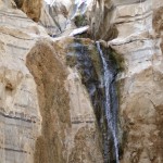 Pools in Negev7