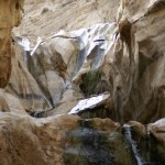 Pools in Negev8