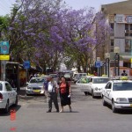 Downtown Jackaronda – 13May05