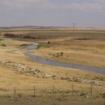 Tel Beer Sheva – May 04 004