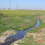 Wadi Hebron in Confluence with Wadi Beer Sheva