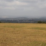 Field-HurvatTzurba