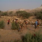 Desert Rains -Sde Boker – 22June12