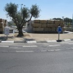 Wadi Beer Sheva1