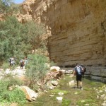 Sheer – Wadi Arugot – 27July13