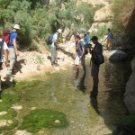 Traversing the Water Trail – Wadi Arugot – 27July13