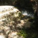 Water flows all year – Wadi Arugot – 27July13