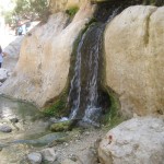 Water from the rock – Wadi Arugot – 27July13