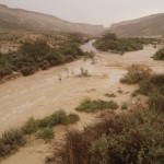 Streams in the Negev — Nahal Zin
